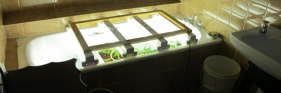 Gansbaai Egpaar vas oor dagga kweek kamer_1